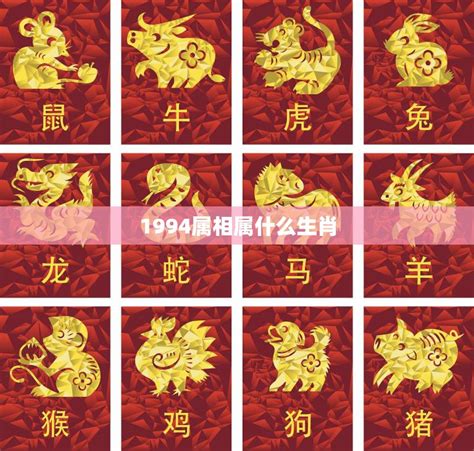 94年生肖|1994 年出生属什么生肖